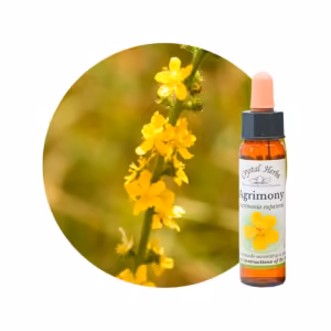 Agrimony Floral de Bach 10 ml