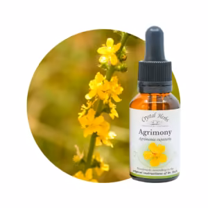 Agrimony Floral de Bach 20 ml