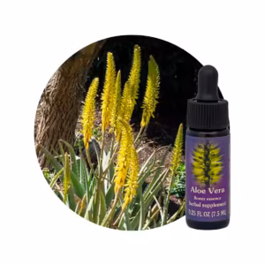 Aloe Vera Floral da Califórnia 7,5 ml