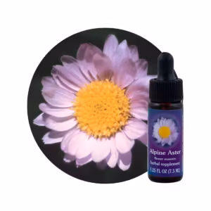 Alpine Aster Floral da Califórnia 7,5 ml