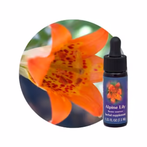 Alpine Lily Floral da Califórnia 7,5 ml