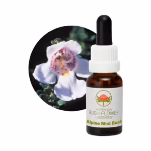 Alpine Mint Bush Floral do Bush Australiano 15 ml