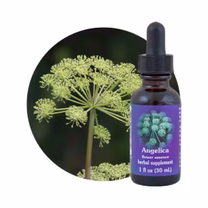 Angelica Floral da Califórnia 30 ml