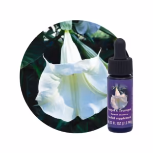 Angel's Trumpet Floral da Califórnia 7,5 ml
