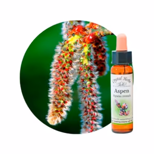 Aspen Floral de Bach 10 ml