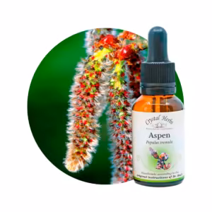 Aspen Floral de Bach 20 ml