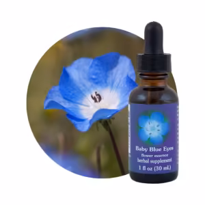 Baby Blue Eyes Floral da Califórnia 30 ml