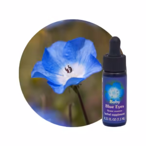 Baby Blue Eyes Floral da Califórnia 7,5 ml