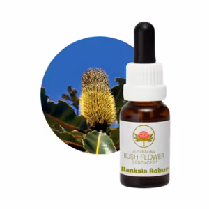 Banksia Robur Floral do Bush Australiano 15 ml