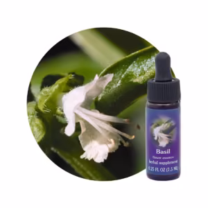 Basil Floral da Califórnia 7,5 ml