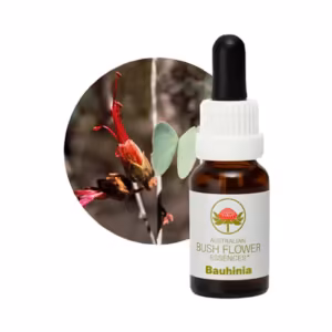 Bauhinia Floral do Bush Australiano 15 ml