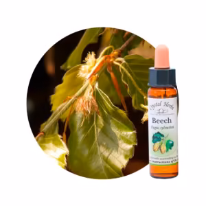 Beech Floral de Bach 10 ml