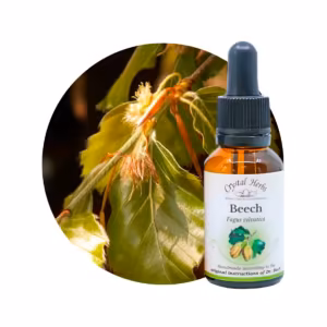 Beech Floral de Bach 20 ml