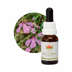 Black Eyed Susan Floral do Bush Australiano 15 ml