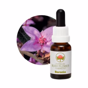 Boronia Floral do Bush Australiano 15 ml