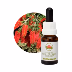 Bottlebrush Floral do Bush Australiano 15 ml