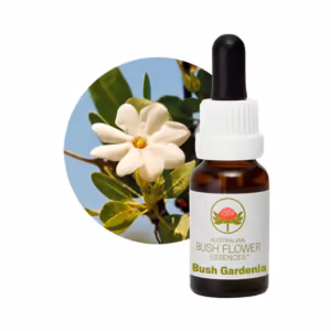 Bush Gardenia Floral do Bush Australiano 15 ml