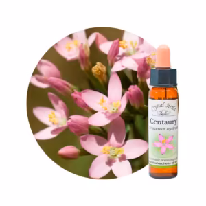Centaury Floral de Bach 10 ml