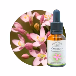 Centaury Floral de Bach 20 ml