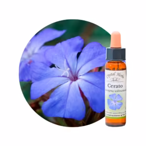 Cerato Floral de Bach 10 ml