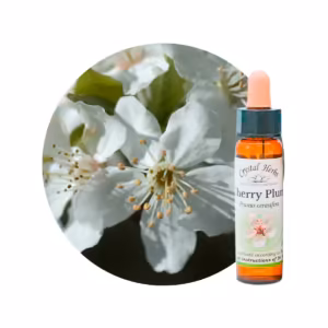 Cherry Plum Floral de Bach 10 ml