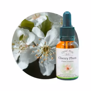 Cherry Plum Floral de Bach 20 ml
