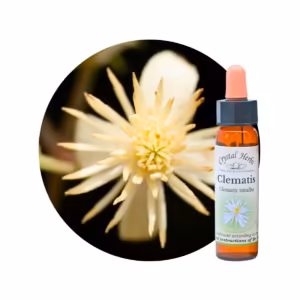 Clematis Floral de Bach 10 ml