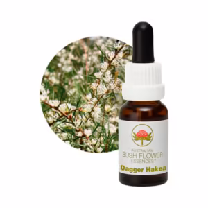 Dagger Hakea Floral do Bush Australiano 15 ml