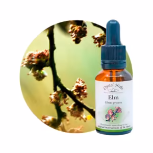 Elm Floral de Bach 20 ml
