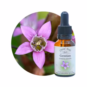 Gentian Floral de Bach 20 ml