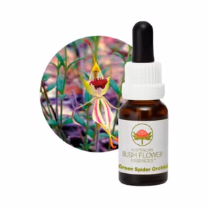 Green Spider Orchid Floral do Bush Australiano 15 ml