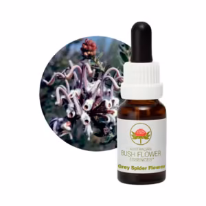 Grey Spider Flower Floral do Bush Australiano 15 ml