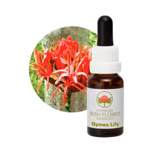 Gymea Lily Floral do Bush Australiano 15 ml