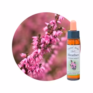 Heather Floral de Bach 10 ml