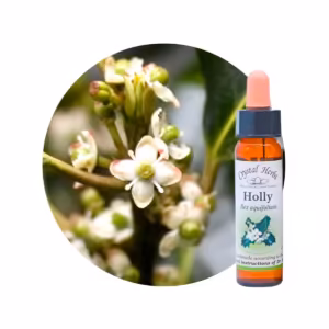 Holly Floral de Bach 10 ml