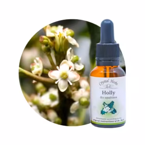Holly Floral de Bach 20 ml