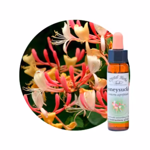 Honeysuckle Floral de Bach 10 ml