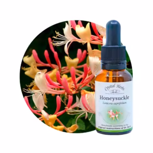 Honeysuckle Floral de Bach 20 ml