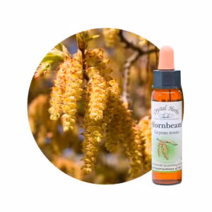 Hornbeam Floral de Bach 10 ml