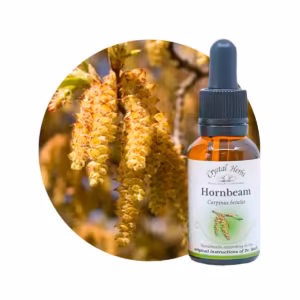 Hornbeam Floral de Bach 20 ml