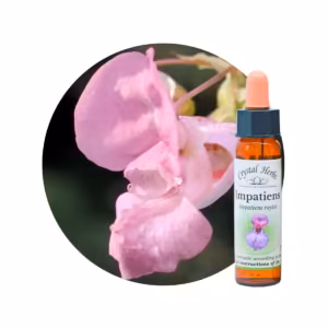 Impatiens Floral de Bach 10 ml