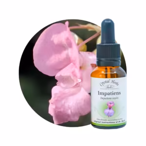 Impatiens Floral de Bach 20 ml