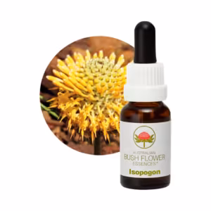 Isopogon Floral do Bush Australiano 15 ml