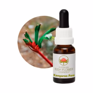 Kangaroo Paw Floral do Bush Australiano 15 ml