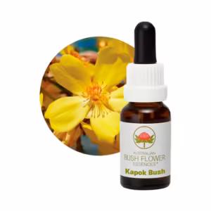 Kapok Bush Floral do Bush Australiano 15 ml