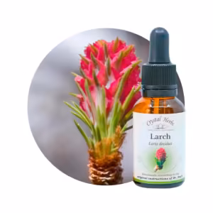 Larch Floral de Bach 20 ml