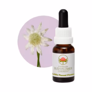 Little Flannel Flower Floral do Bush Australiano 15 ml