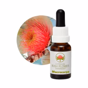 Macrocarpa Floral do Bush Australiano 15 ml