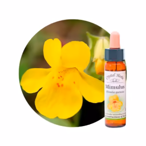 Mimulus Floral de Bach 10 ml