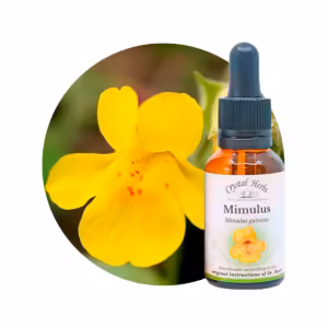 Mimulus Floral de Bach 20 ml